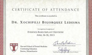 Xochipilli Harvard Certificate