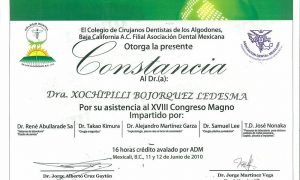 XVII Magun Congress ADM
